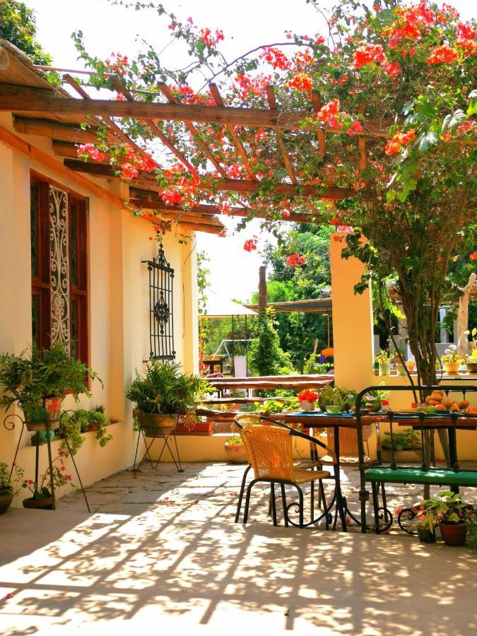 Хостел Luchy'S Country House Ика Экстерьер фото